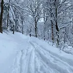 V Srdci Krkonos * Horni Marsov