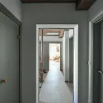V Srdci Krkonos Apartment *