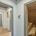 V Srdci Krkonos Horni Marsov