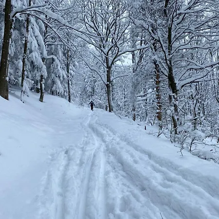 V Srdci Krkonos * Horní Maršov