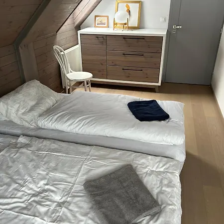 Apartment V Srdci Krkonos Horni Marsov