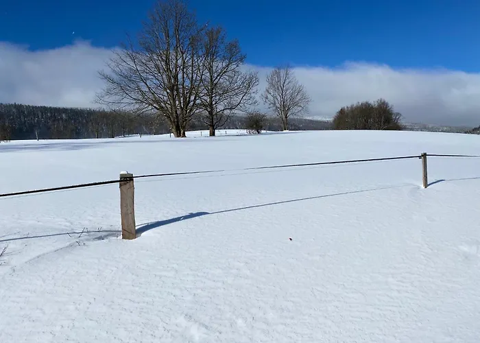 V Srdci Krkonos Horní Maršov