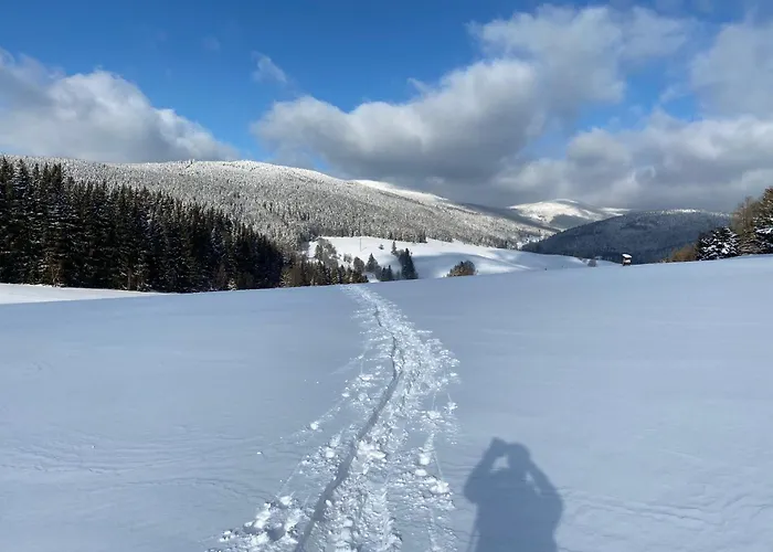 V Srdci Krkonos * Horní Maršov