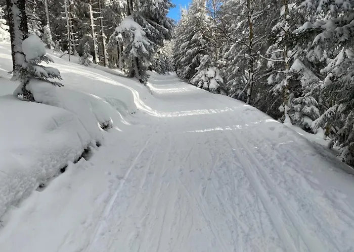 V Srdci Krkonos 公寓 Horní Maršov